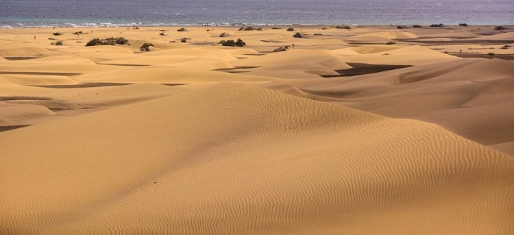 Kustwandeling in de beroemde duinen van Maspalomas